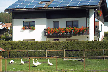 Hausansicht im Sommer - Ferienwohnung in Haidmühle